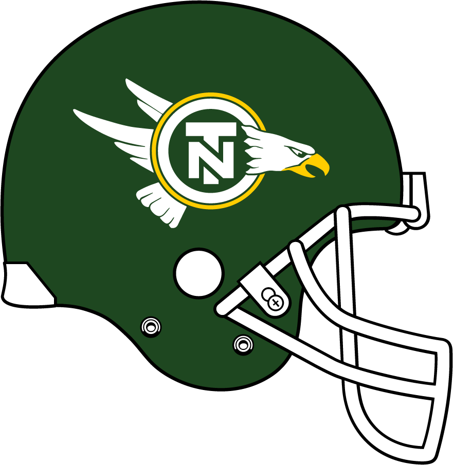 North Texas Mean Green 1983-1991 Helmet iron on transfers for T-shirts